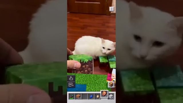 Я люблю Майнкрафт/ I love Minecraft смотреть онлайн