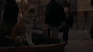 Хатико Самый верный друг  Hachiko A Dog's Story 2009