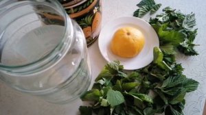 Чай из листьев смородины, малины, мяты. Полезный вкусный чай.