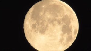 Видеокамера Panasonic HC-V530