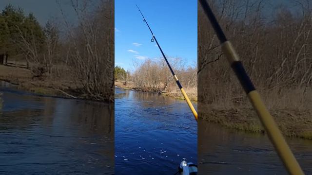 Мормышинг телескоп смотреть онлайн