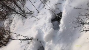 Красноярские Столбы⛰Подъем на скалу ТАКМАК 2021 4k60