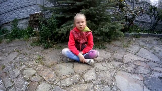 Почему нужно любить животных смотреть онлайн