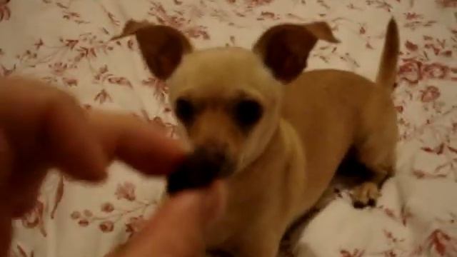 Ula BANG! смотреть онлайн