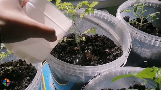 DIY: 10 идей из бутылки из-под молока / 10 ideas from a milk bottle смотреть онлайн