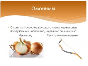 Омонимы, синонимы, антонимы. Русский язык 2 класс. Система Эльконина-Давыдова.