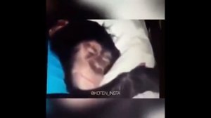 Ержан вставай эй на работу пора (Без мата)