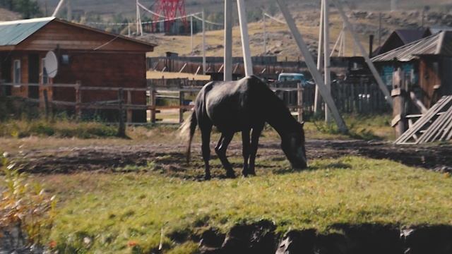 Байкал, Малое Море, Сарма. Три недели жизни в трёх минутах смотреть онлайн