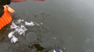 Беларусь , озеро Кичино 07.12.19. Зима.