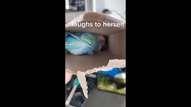 #Забавные_животные 😂  #видео1 (17)