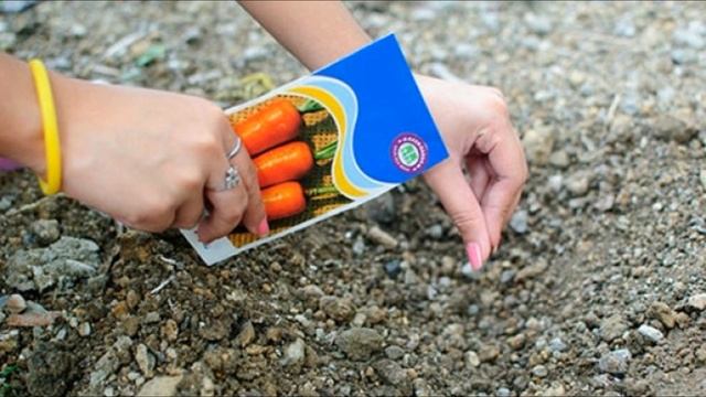 Почему семена моркови плохо всходят? Что влияет на всхожесть?? смотреть онлайн