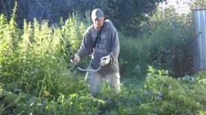 05.07.2016 - Покос триммером крапивы и репейника