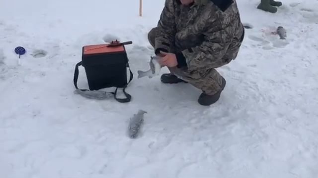 Зимняя рыбалка форели. Рыбалка ProFishing смотреть онлайн