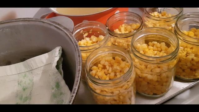 Кукуруза на зиму // Corn for winter //玉米 смотреть онлайн