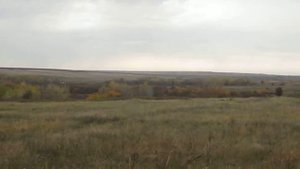 Хутор  Каледи́н, станицы Усть-Хопёрская Области войска Донского.