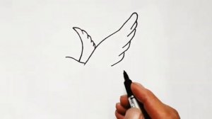 Как нарисовать голубь |How to draw a pigeon.