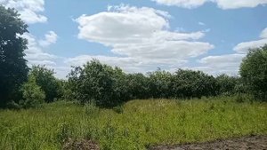 Сестра жены неподвела/ истории любви, сладкая любовь.