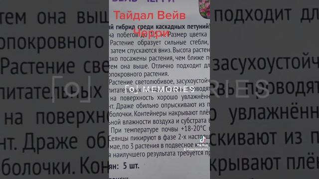 Петуния каскадная Тайдал Вейв Черри.(проф.семена американской селекции).Читайте в описании под виде