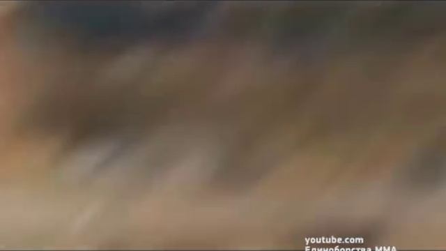 Бросили ли тень поражения Федора Емельяненко на его наследие смотреть онлайн