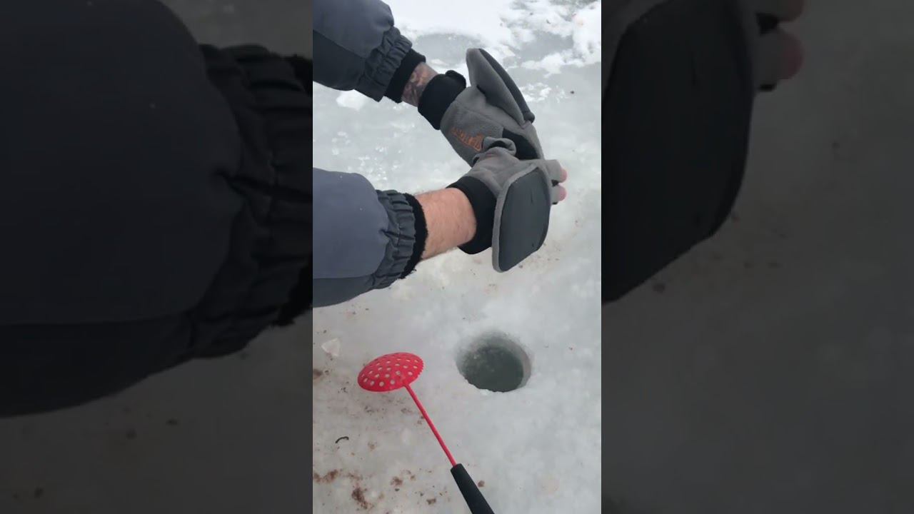 МЫ НАШЛИ РЫБУ РЫБНОЕ МЕСТО смотреть онлайн