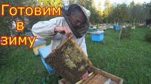 Комплектуем семьи в зиму! Сокращение семей, обработка от клеща