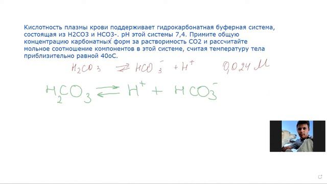 010 равновесия в растворах 3 буфер гидрокарбонатный смотреть онлайн