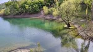Лесосад на Голубом озере. Чудо-дуб!