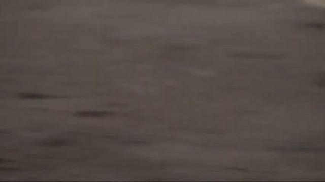 Вакуумная сушка. Образцы сушки слэбов.