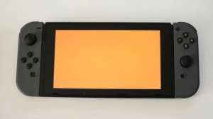 Nintendo Switch Orange Screen of death ( It's NOT What you think! )