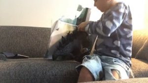 Распаковка огромной Годзиллы длиной 51см! UNBOXING big Godzilla toy!