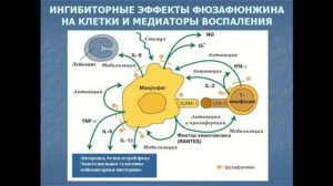 Профилактика осложнений ОРЗ