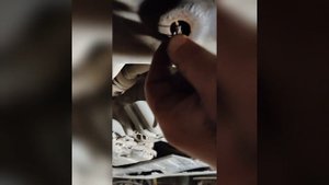 замена крепления защиты Киа рио 3