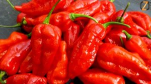 Самые острые  приправы в мире
