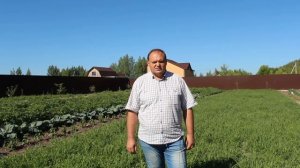 Для чего нужны сидеральные культуры (Сидераты) на участке? - Идеальный огород. Часть 5