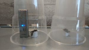 Демонстрация работы очистителя/ионизатора воздуха Zepter MyIon