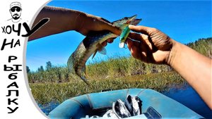 В тихом омуте щука водится. Рыбалка на реке Касмала