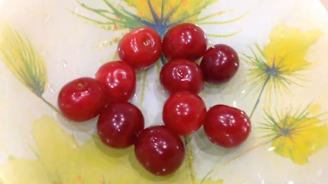 Новые растения ? в подарок и для себя / Питомник роз ? в Туле / Странные подсолнухи ?