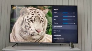 Xiaomi Mi TV Q1E 55 calibration (best picture settings)