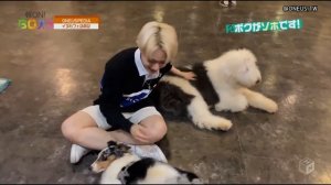 애견 카페를 찾은 원어스(ONEUS in a Pet Cafe)