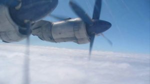 Николай Анисимов. Всего лишь любовь.