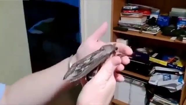 Заглянул в шкаф, а там моль смотреть онлайн