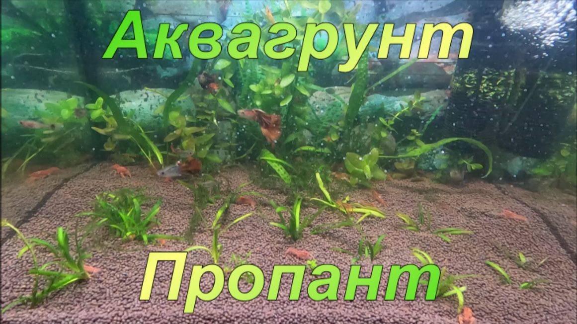 Аквагрунт Пропант.