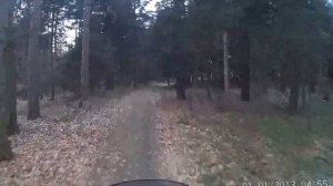 honda transalp 600 mitas e 09 TEST