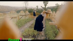 Полив огорода в жару. Главные ошибки огородников. Когда и как часто поливать растения