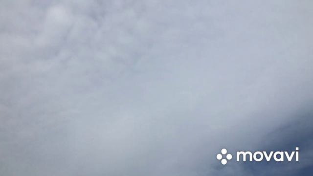 Всех с Праздником ! Холодное воскресение ! Трава у дома . Будет ли ягода ! смотреть онлайн