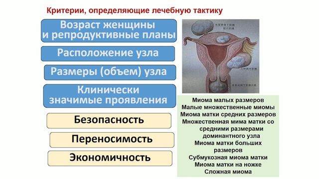 Тактика ведения пациенток с миомой матки (проф. Кедрова А.Г.) смотреть онлайн