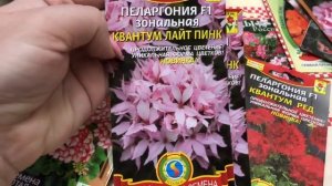 Пеларгония (герань) Необычные Сорта. Посылка семян,открываем вместе ??♀️