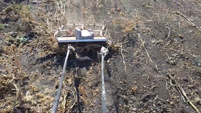 как быстро убрать огород от бурьяна осенью,бадылку стебли из под тыквы гарбуза смотреть онлайн