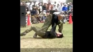 Тосю какуто