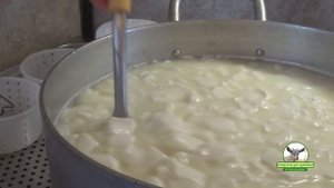 Домашнее сыроделие. Сыр Фета Греческий в заливке.  Подробный рецепт